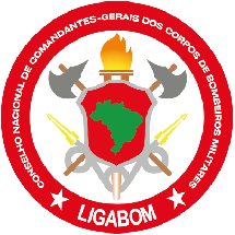 Logo Liga Bom